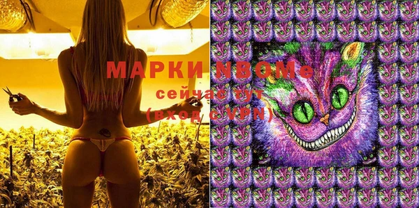 хмурый Покров
