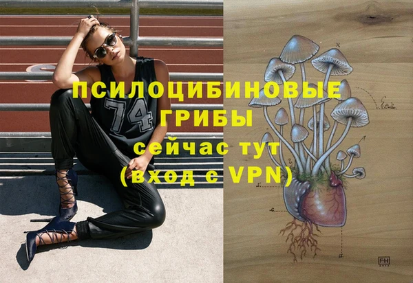 прущая мука Пролетарск