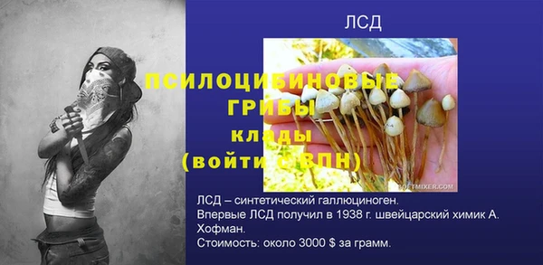 хмурый Покров