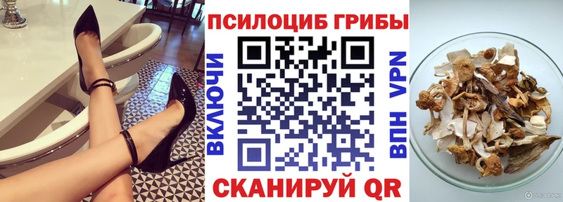 Псилоцибиновые грибы прущие грибы  сколько стоит  Шенкурск 