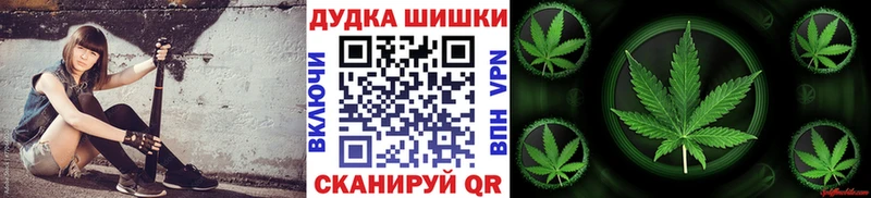 купить наркотики сайты  Шенкурск  Канабис MAZAR 